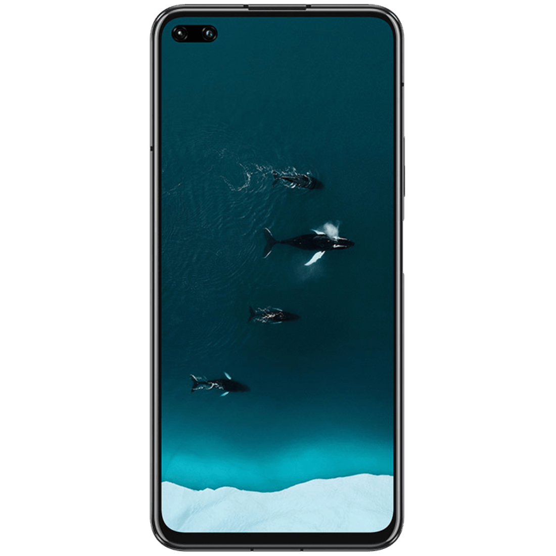 HONOR View 30 PRO