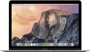 Macbook 12" Retina (1534)