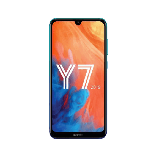 Y7 2019